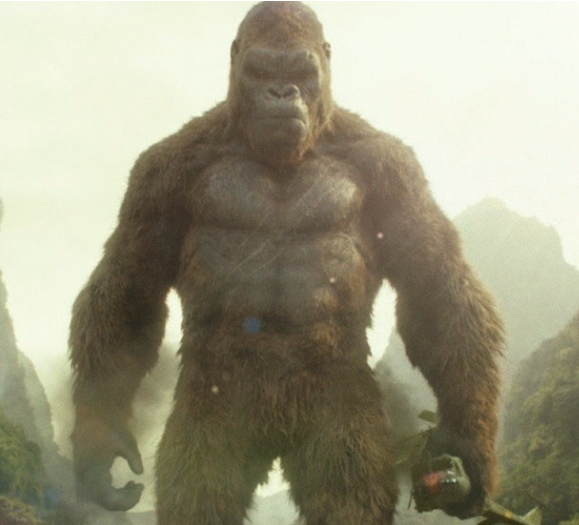 Monkey